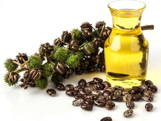 leading-castor-oil-derivative-manufacturer-in-india
