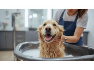 pet-grooming-service-at-home-in-bangalore-small-0