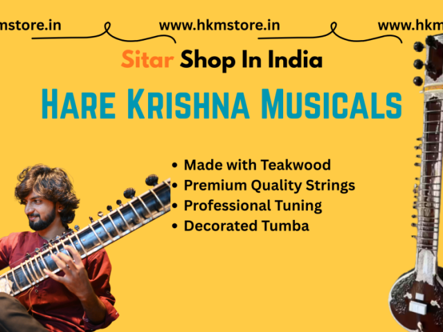 looking-for-the-best-sitar-shop-in-delhi-hkm-store