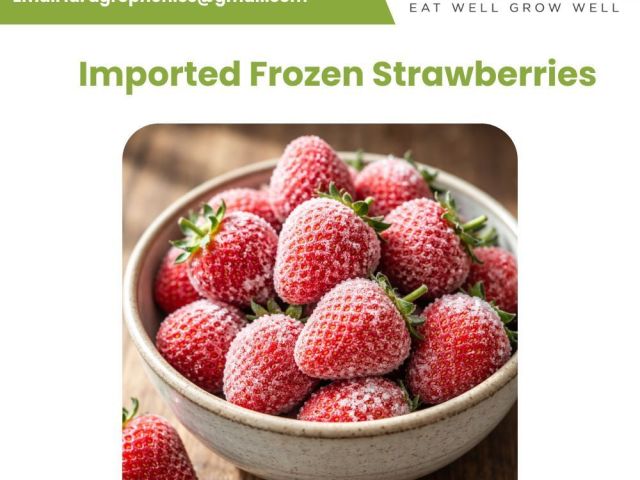 buy-imported-frozen-strawberries-in-bulk-quality-supplier