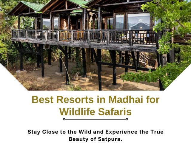 best-resorts-in-madhai-for-wildlife-safaris