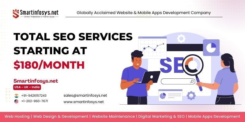 total-seo-services-starting-at-180month-big-0
