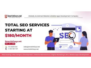 total-seo-services-starting-at-180month-small-0
