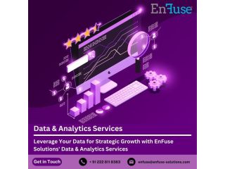 strategic-growth-with-enfuse-solutions-data-analytics-services-small-0