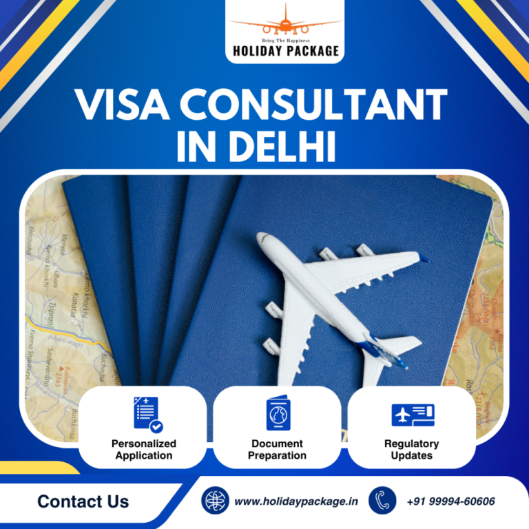 visa-consultant-in-delhi-big-0