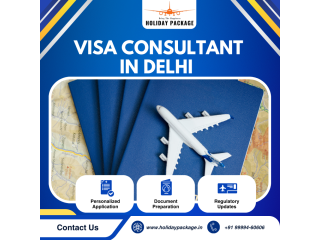 visa-consultant-in-delhi-small-0