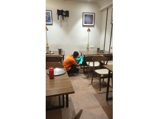 trusted-pest-control-company-in-ahmedabad-small-0