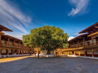 bhutan-package-tour-from-mumbai-with-flight-small-4
