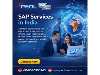 sap-services-in-india-sap-consulting-small-0