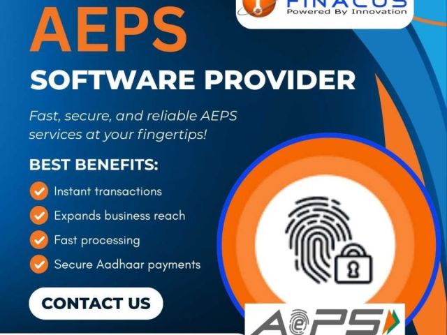 aeps-software-provider-card-life-cycle-management-services