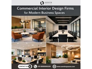 commercial-interior-design-firms-for-modern-business-spaces-small-0