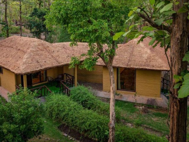 book-bijrani-jungle-cottages-for-a-peaceful-stay