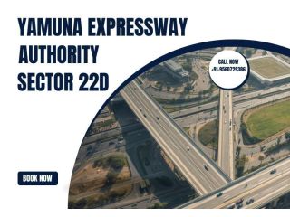 hot-listing-authority-plots-at-sector-22d-maxrow-properties-small-0