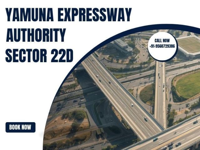 hot-listing-authority-plots-at-sector-22d-maxrow-properties