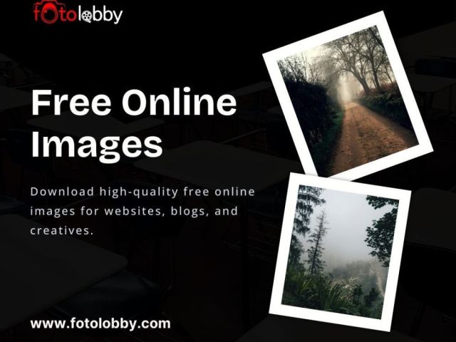 free-online-images-by-fotolobby