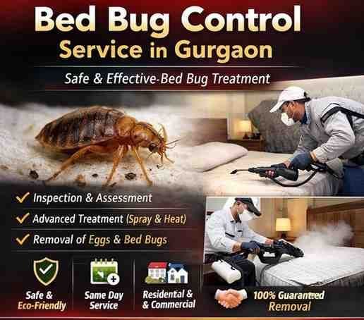 bed-bug-control-service-in-gurgaon-professional-pest-removal-big-0