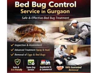 bed-bug-control-service-in-gurgaon-professional-pest-removal-small-0