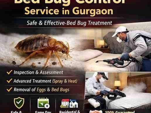 bed-bug-control-service-in-gurgaon-professional-pest-removal