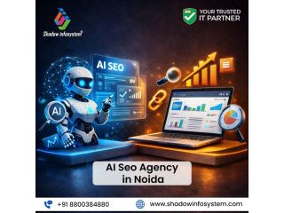best-ai-seo-agency-in-noida-shadow-infosystem-small-0