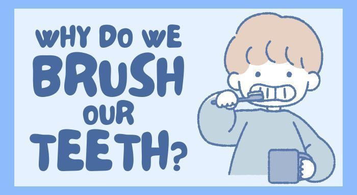 why-do-we-brush-our-teeth-big-0
