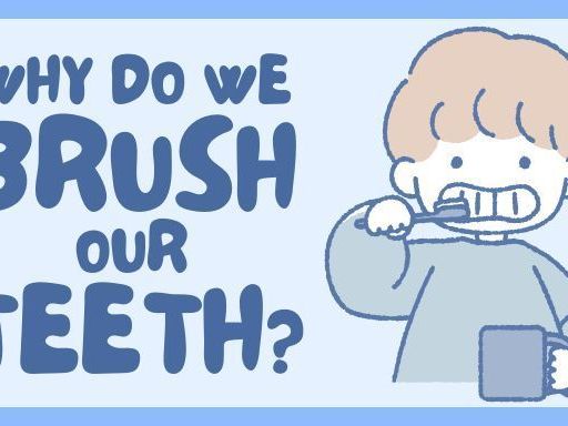 why-do-we-brush-our-teeth