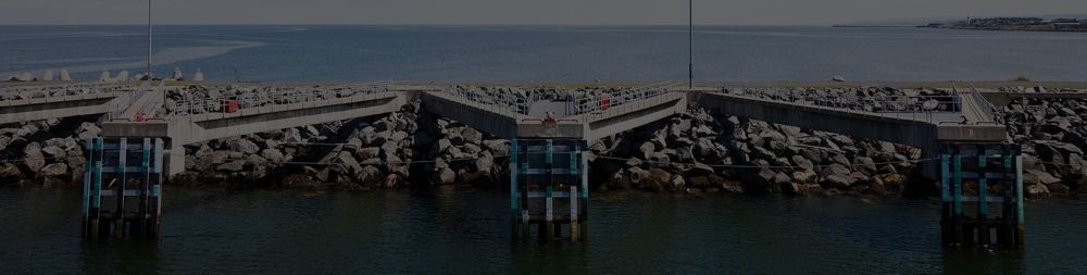 top-project-advisory-and-floating-structures-consultancy-big-0