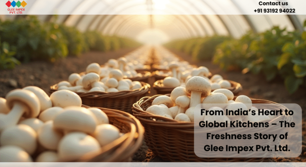 best-mushrooms-exporters-in-india-for-bulk-supply-big-0