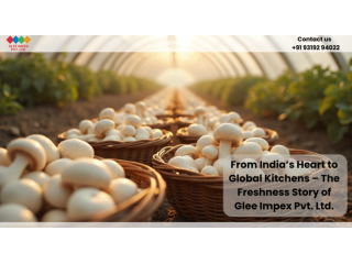 best-mushrooms-exporters-in-india-for-bulk-supply-small-0