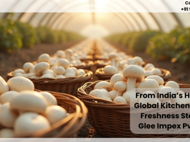 best-mushrooms-exporters-in-india-for-bulk-supply