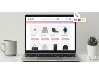 professional-e-commerce-store-development-small-0
