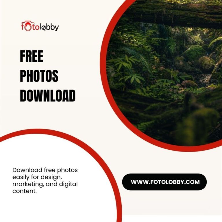 free-photos-download-by-fotolobby-big-0