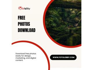 free-photos-download-by-fotolobby-small-0