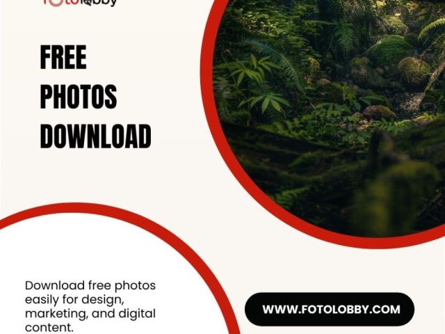 free-photos-download-by-fotolobby