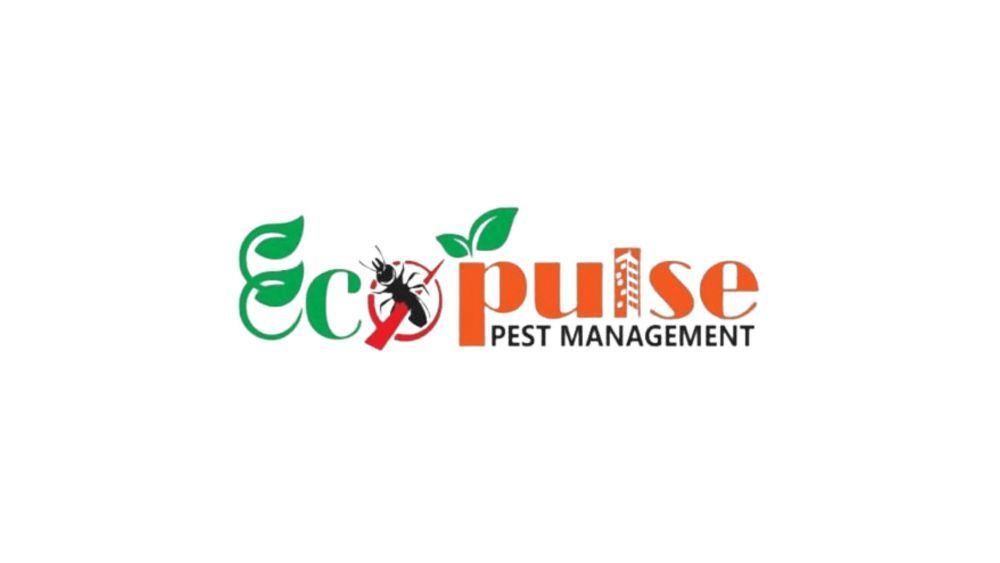 safe-and-professional-pest-control-in-kolkata-big-0