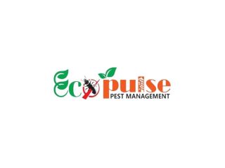 safe-and-professional-pest-control-in-kolkata-small-0