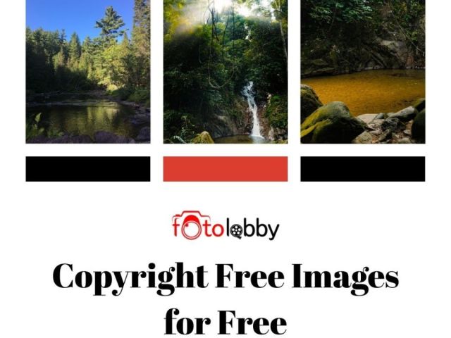 copyright-free-images-for-free-by-fotolobby