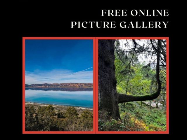 free-online-picture-gallery-by-fotolobby