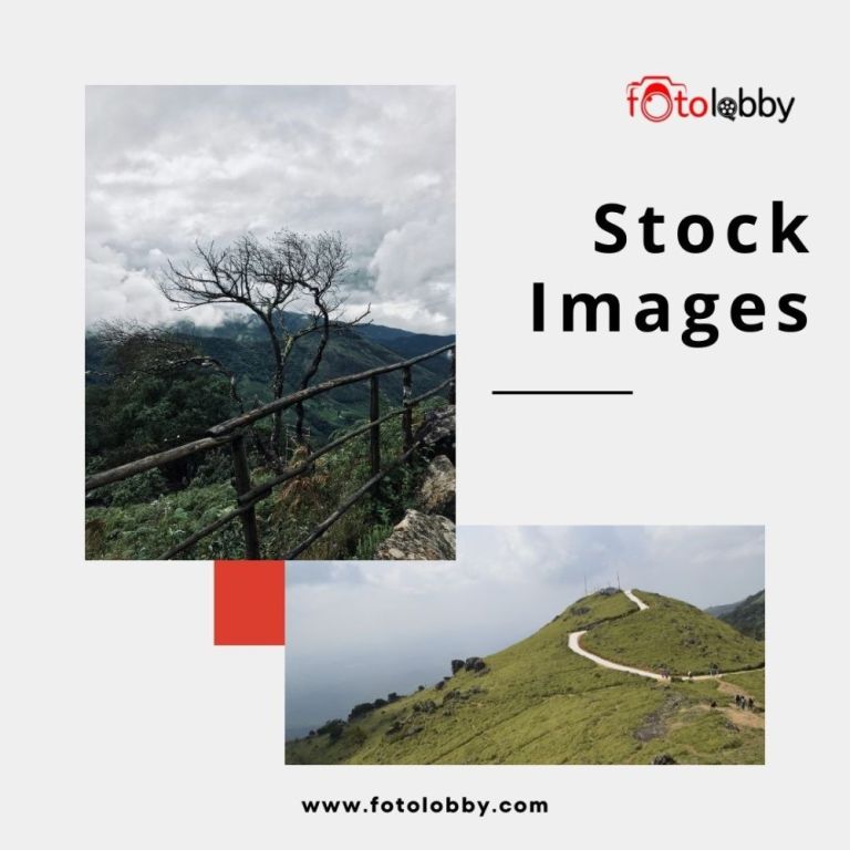 stock-images-by-fotolobby-big-0