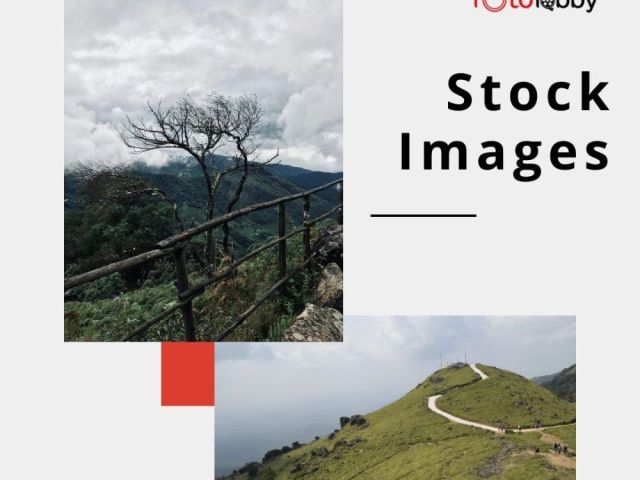 stock-images-by-fotolobby