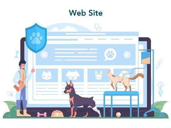 professional-fast-digital-marketing-for-veterinary-clinics