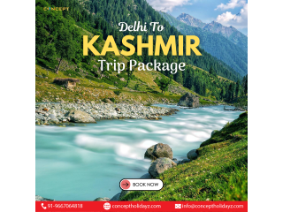 delhi-to-kashmir-trip-package-small-0