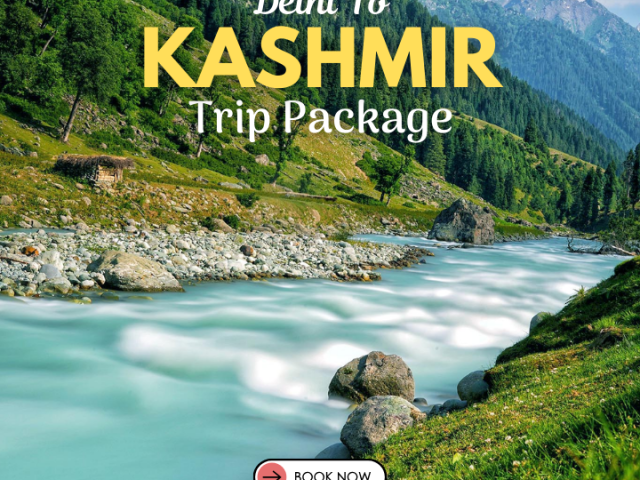 delhi-to-kashmir-trip-package
