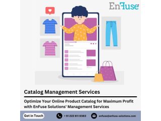 optimize-online-product-catalog-with-enfuse-solutions-small-0