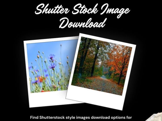 shutter-stock-image-download-by-fotolobby