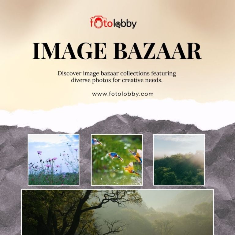 image-bazaar-by-fotolobby-big-0