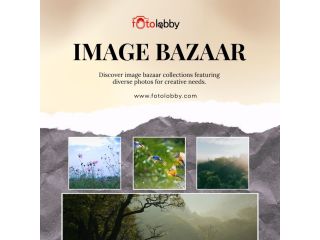 image-bazaar-by-fotolobby-small-0