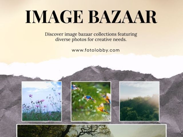 image-bazaar-by-fotolobby
