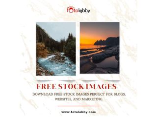 free-stock-images-by-fotolobby-small-0