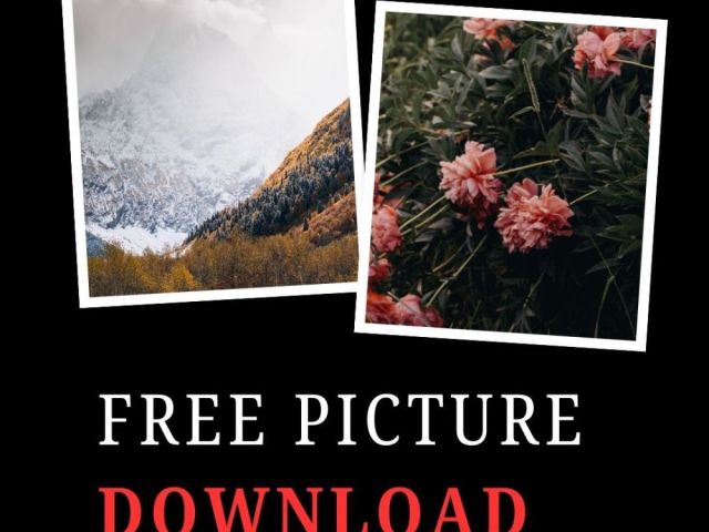 free-picture-download-by-fotolobby