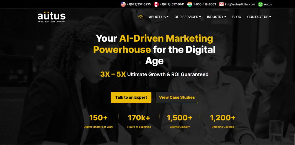 professional-seo-services-in-india-autus-digital-agency-big-0